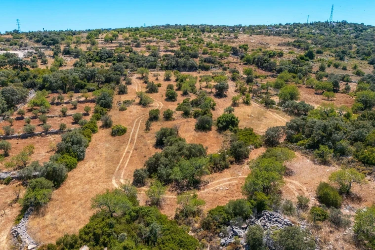 Terreno para Venda em Conceição e Estoi Foto 12