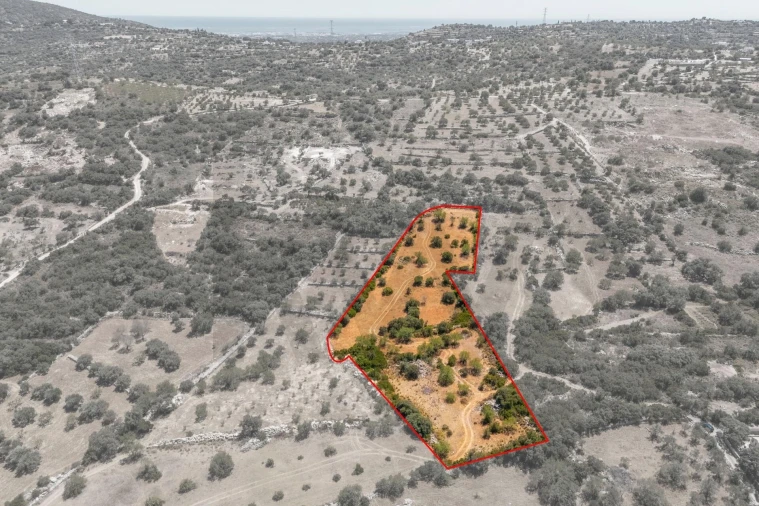 Terreno para Venda em Conceição e Estoi Foto 2