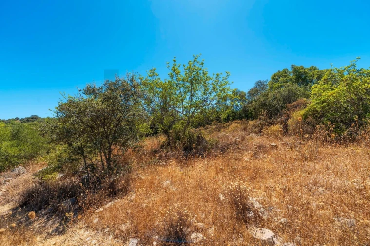 Terreno para Venda em Conceição e Estoi Foto 15