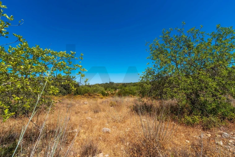 Terreno para Venda em Conceição e Estoi Foto 8