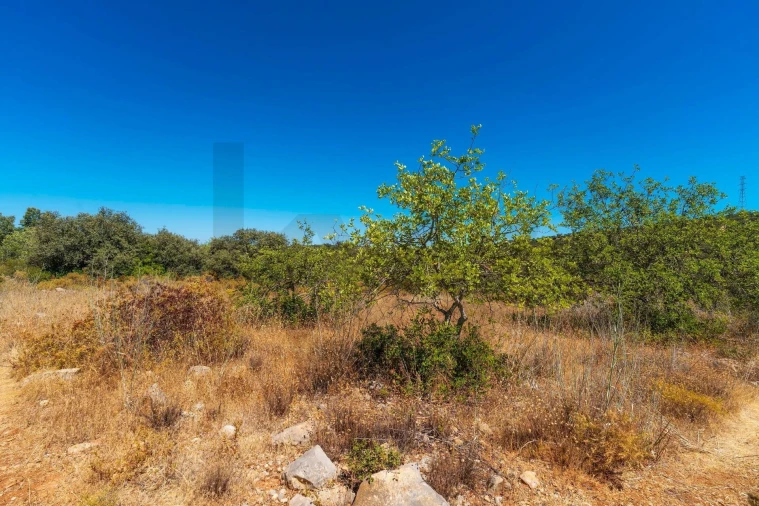 Terreno para Venda em Conceição e Estoi Foto 7