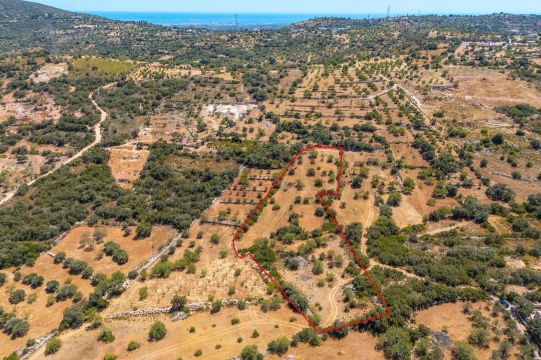Terreno para Venda em Conceição e Estoi Foto 1