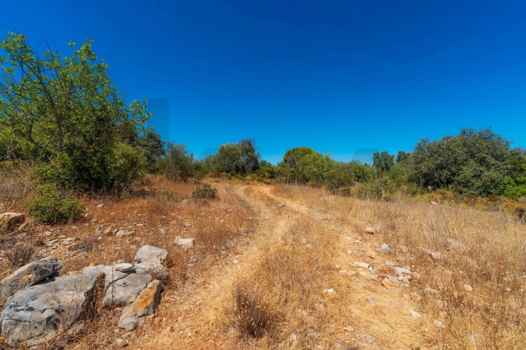 Terreno para Venda em Conceição e Estoi Foto 9