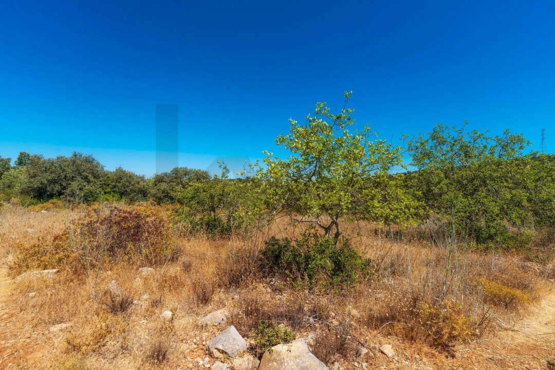 Terreno para Venda em Conceição e Estoi Foto 7