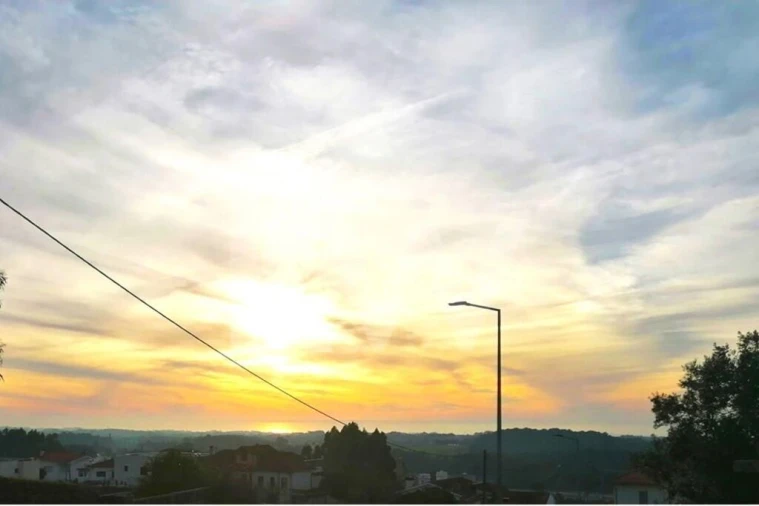 Terreno para Venda em Grijó e Sermonde Foto 8