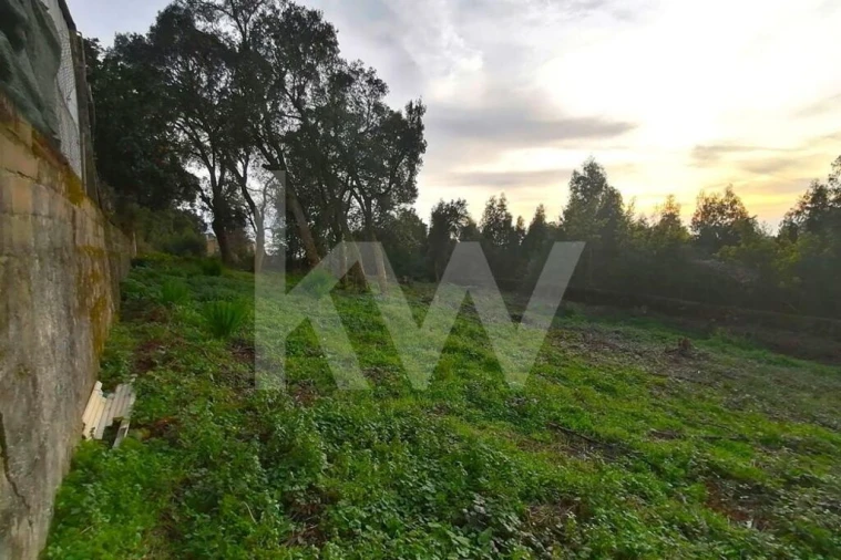 Terreno para Venda em Grijó e Sermonde Foto 4