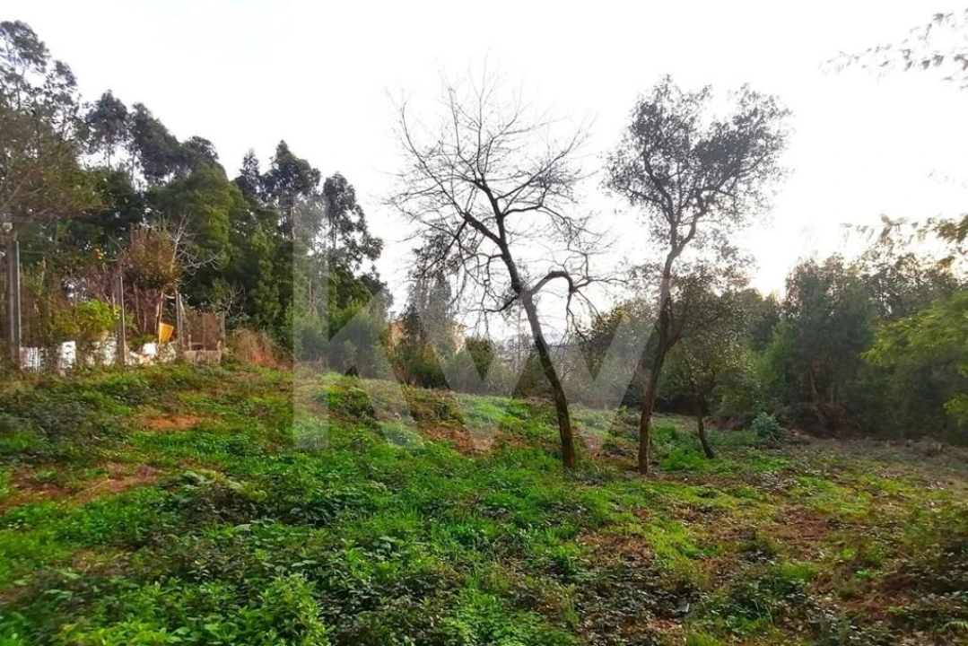 Terreno para Venda em Grijó e Sermonde Foto 6