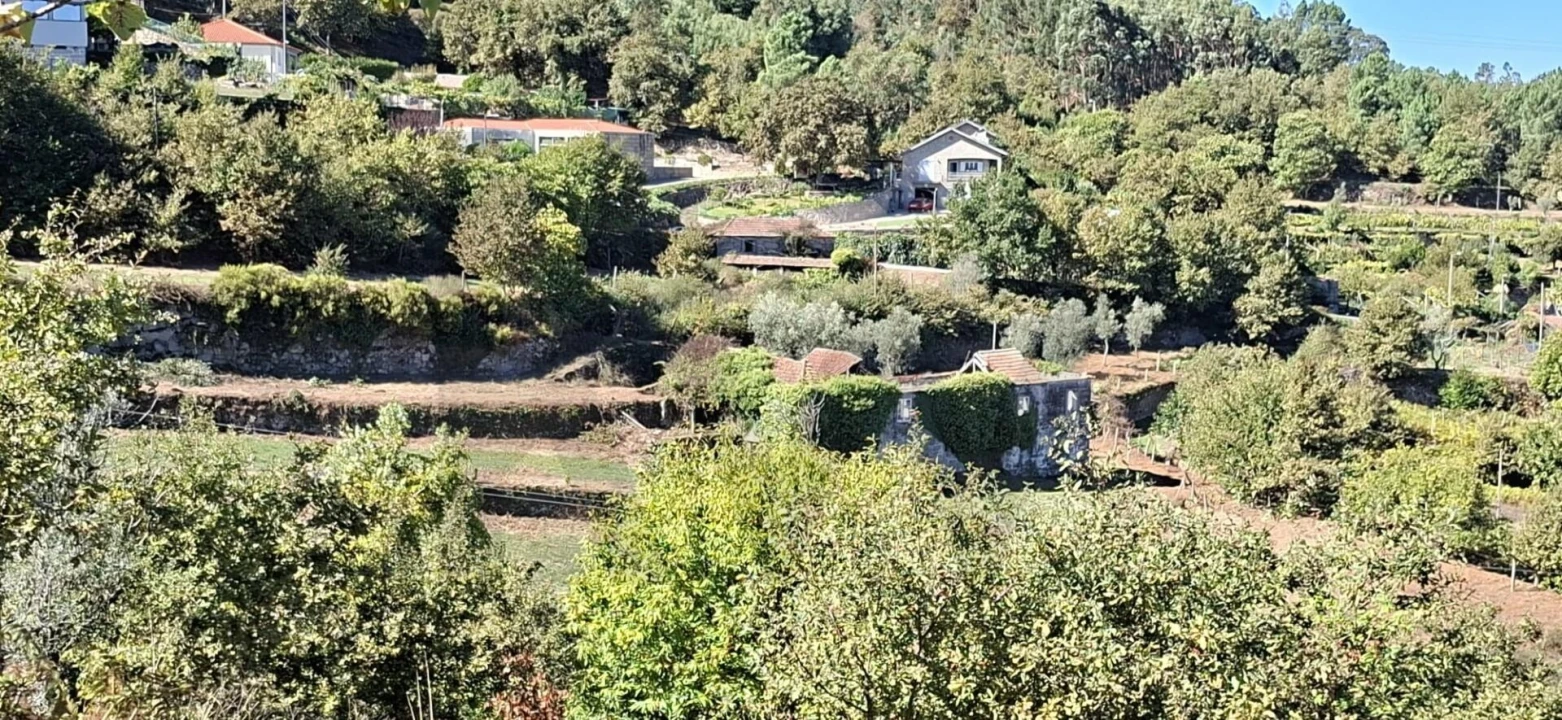 Quinta T3 para Venda em Tarouquela Foto 39