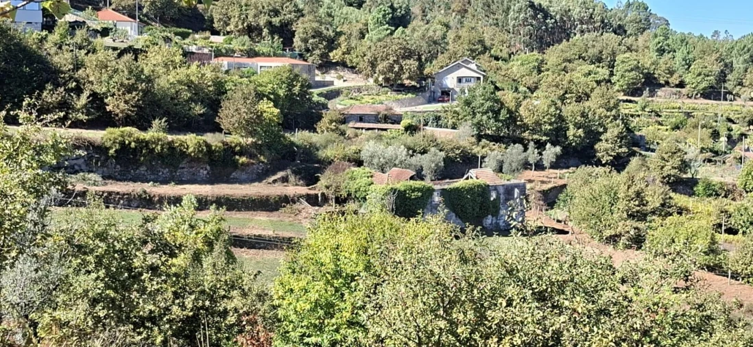 Quinta T3 para Venda em Tarouquela Foto 39