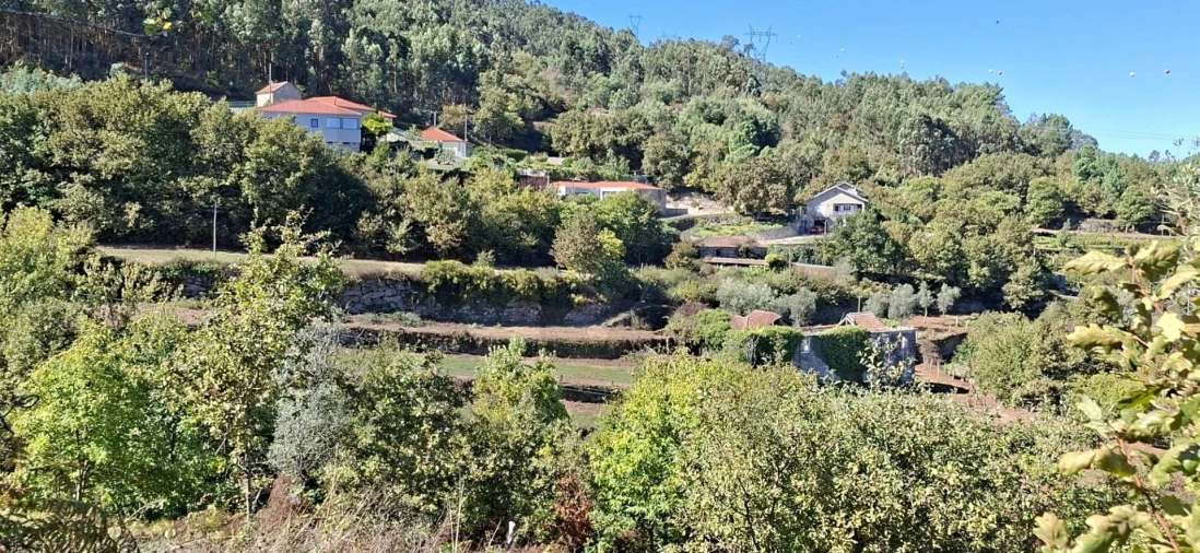 Quinta T3 para Venda em Tarouquela Foto 36