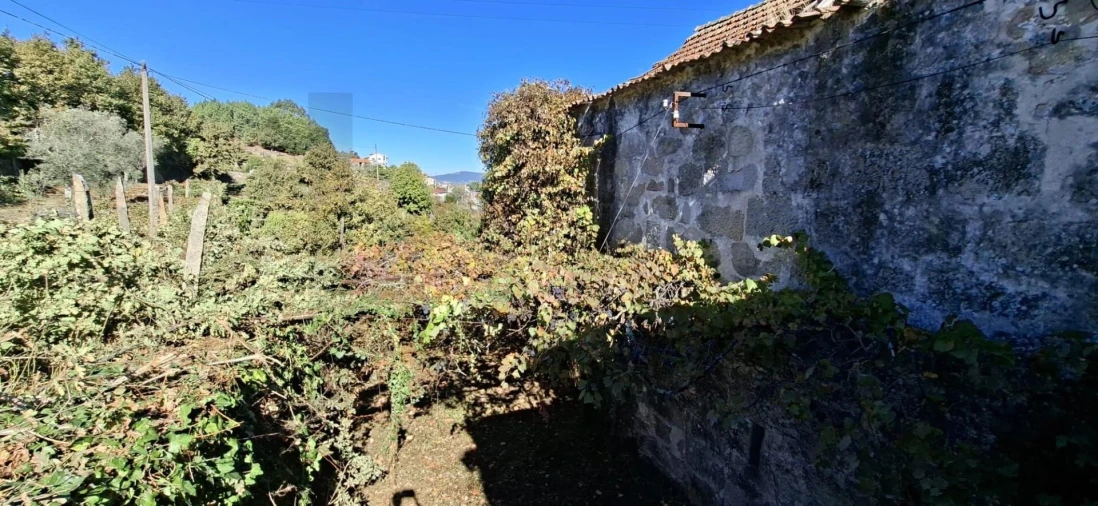 Quinta T3 para Venda em Tarouquela Foto 12