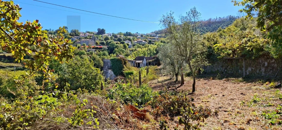 Quinta T3 para Venda em Tarouquela Foto 17