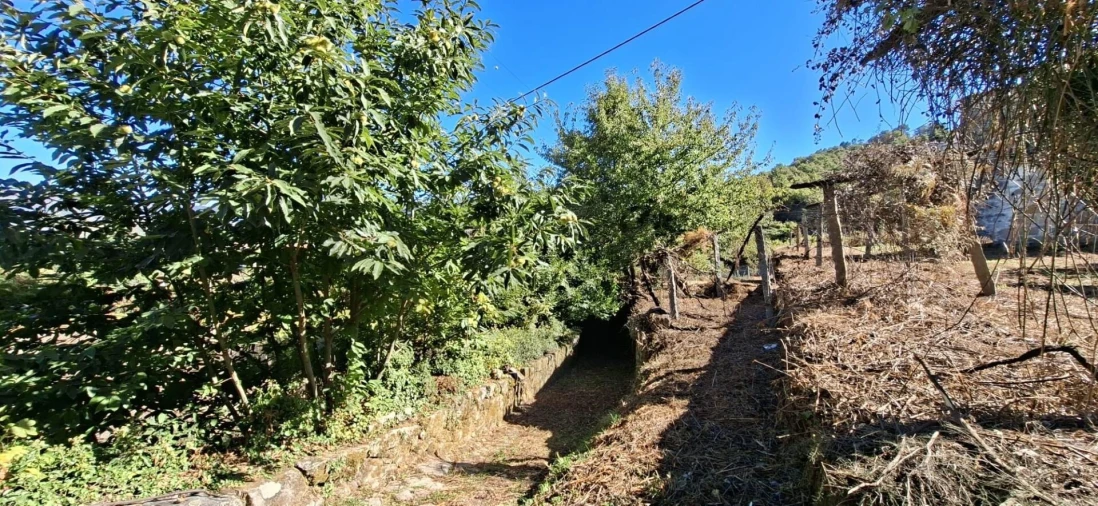 Quinta T3 para Venda em Tarouquela Foto 24