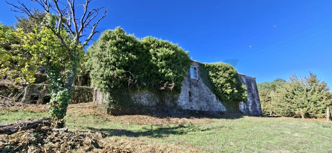 Quinta T3 para Venda em Tarouquela