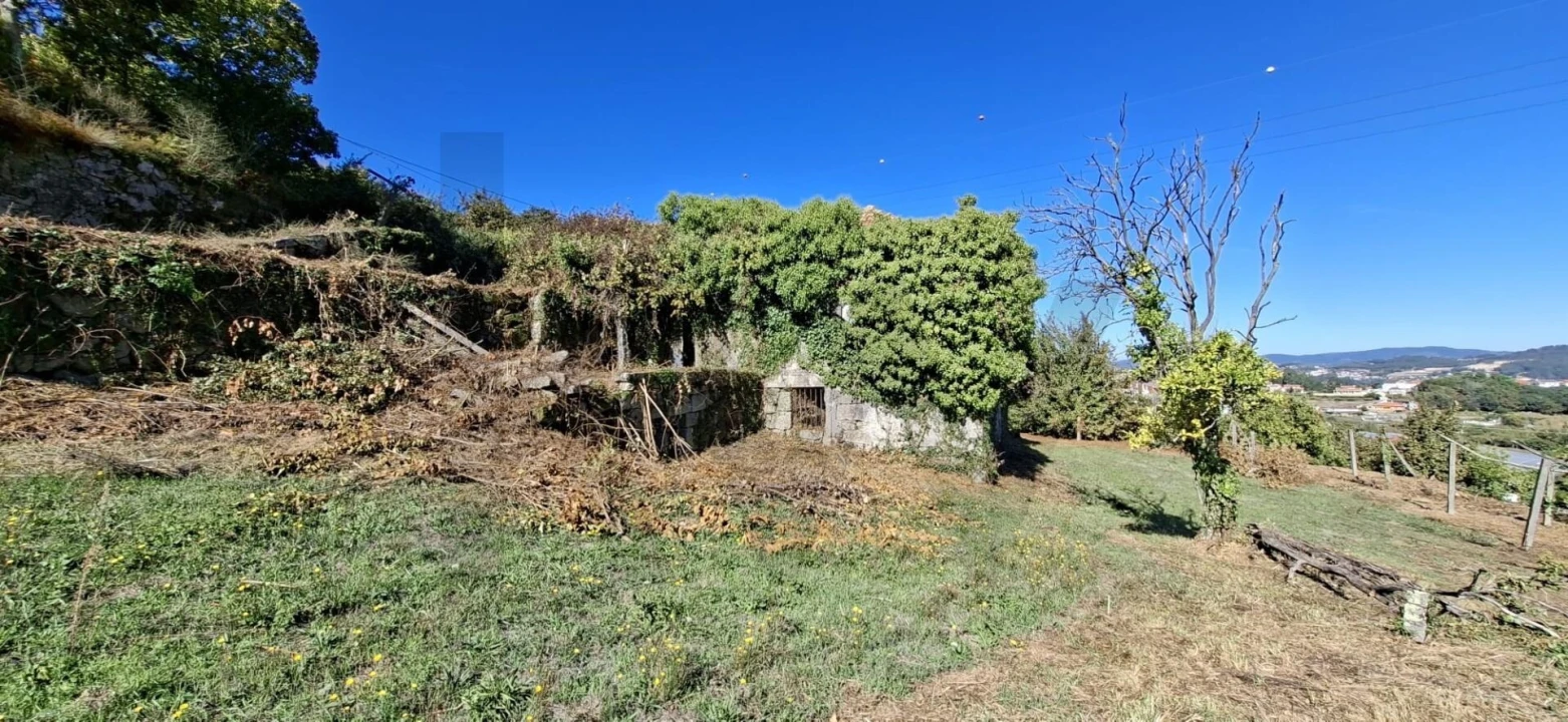 Quinta T3 para Venda em Tarouquela Foto 11