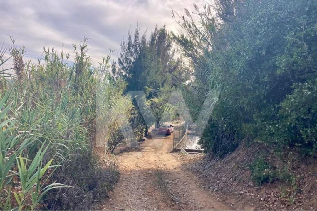 Terreno para Venda em Santo Isidoro Foto 25
