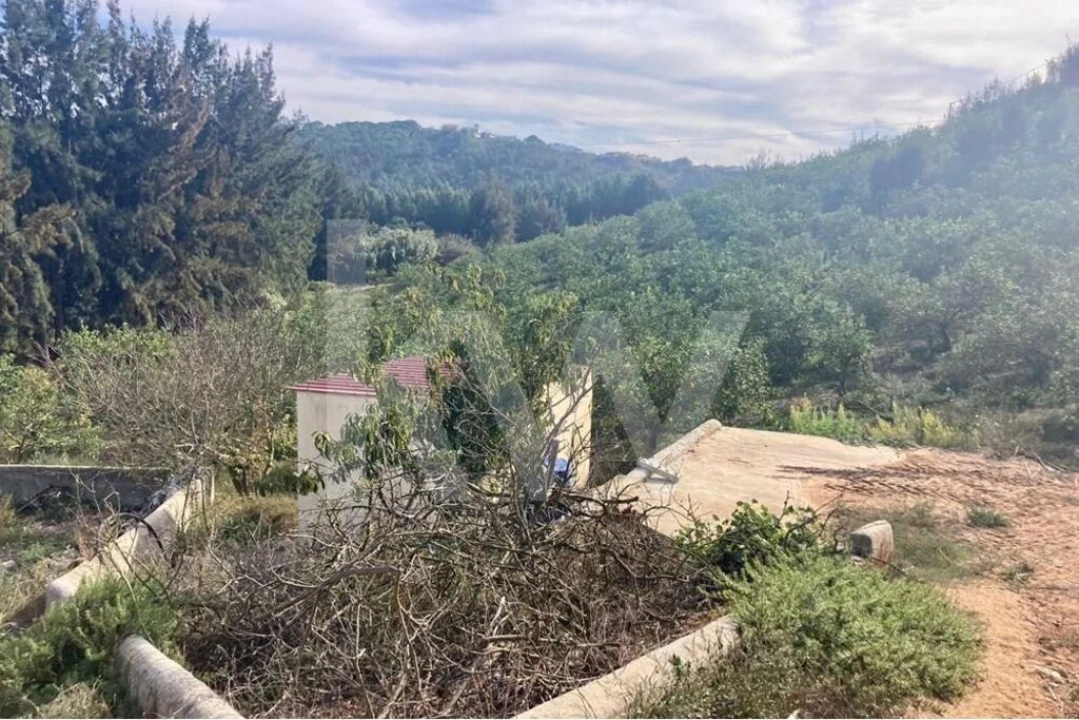 Terreno para Venda em Santo Isidoro Foto 1