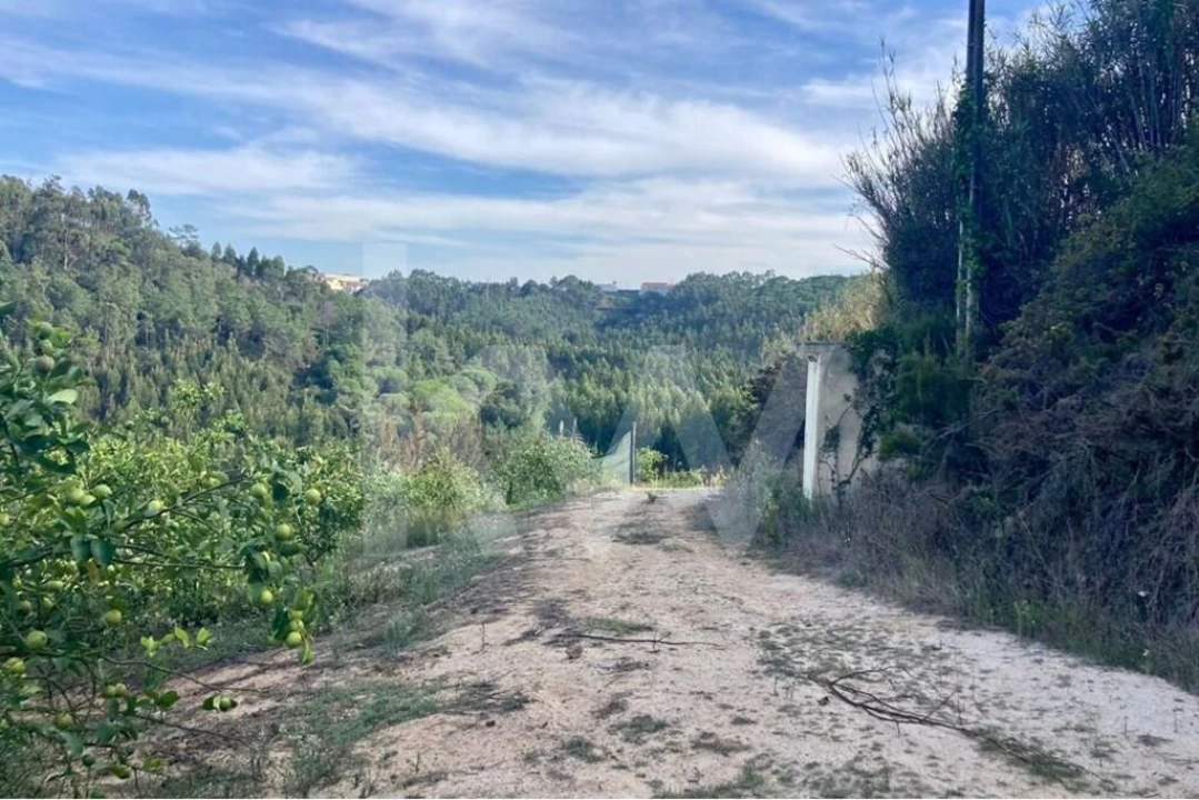 Terreno para Venda em Santo Isidoro Foto 24