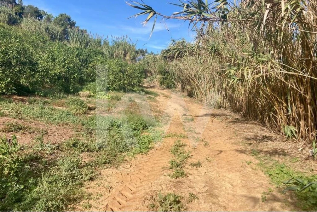 Terreno para Venda em Santo Isidoro Foto 29