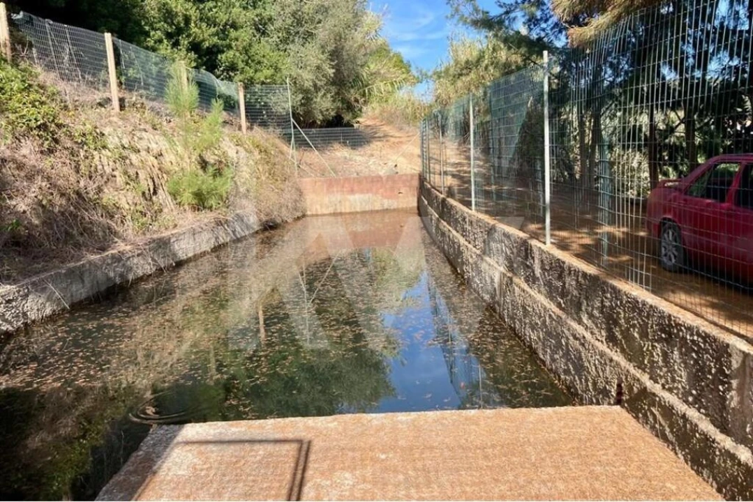 Terreno para Venda em Santo Isidoro Foto 21