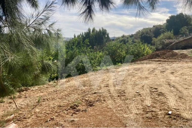 Terreno para Venda em Santo Isidoro Foto 20
