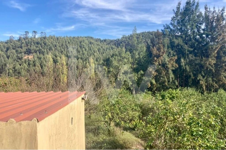 Terreno para Venda em Santo Isidoro Foto 15