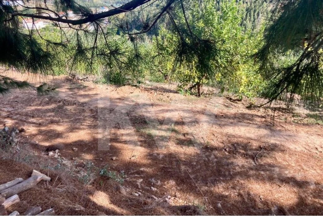 Terreno para Venda em Santo Isidoro Foto 28