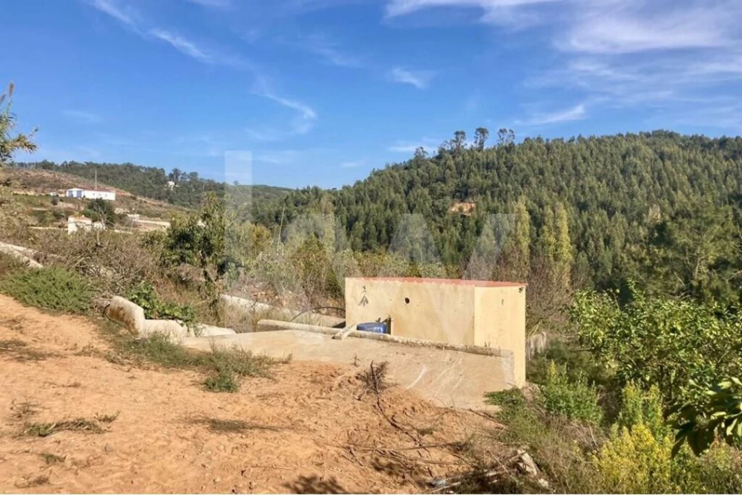 Terreno para Venda em Santo Isidoro Foto 14