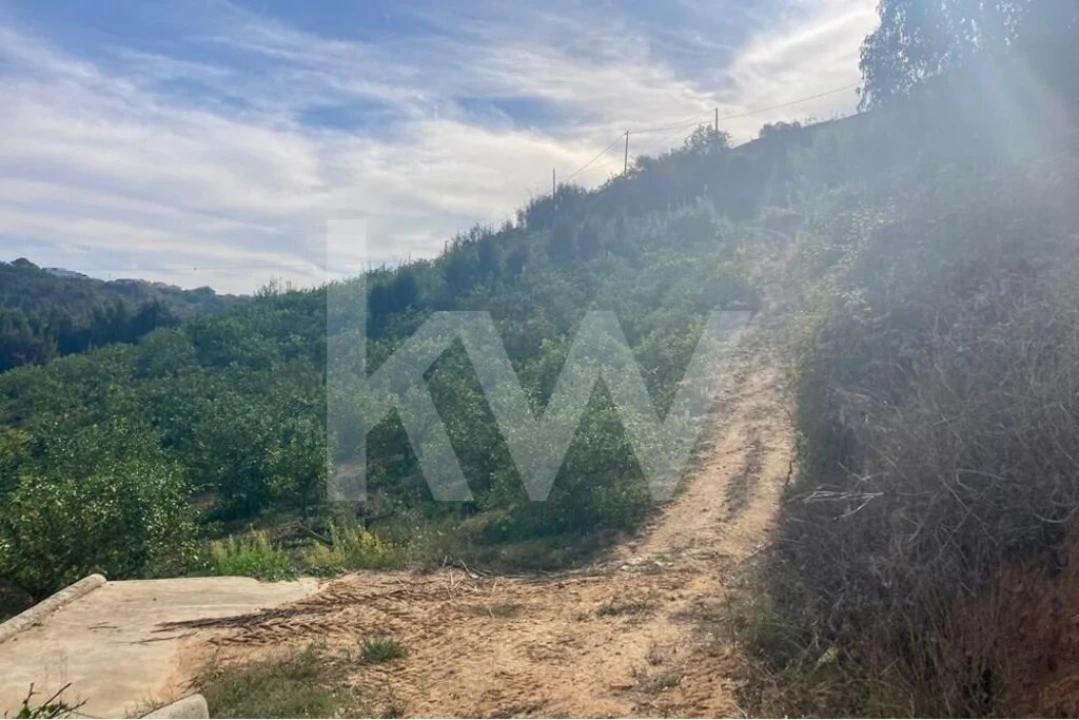 Terreno para Venda em Santo Isidoro Foto 7