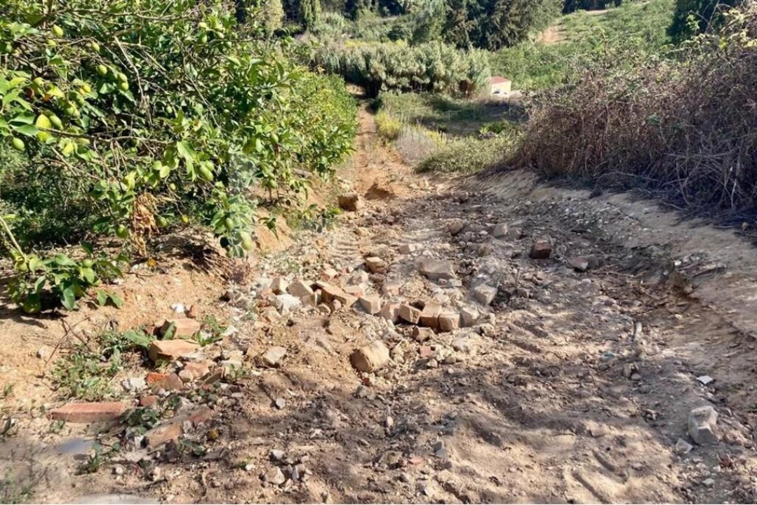 Terreno para Venda em Santo Isidoro Foto 18
