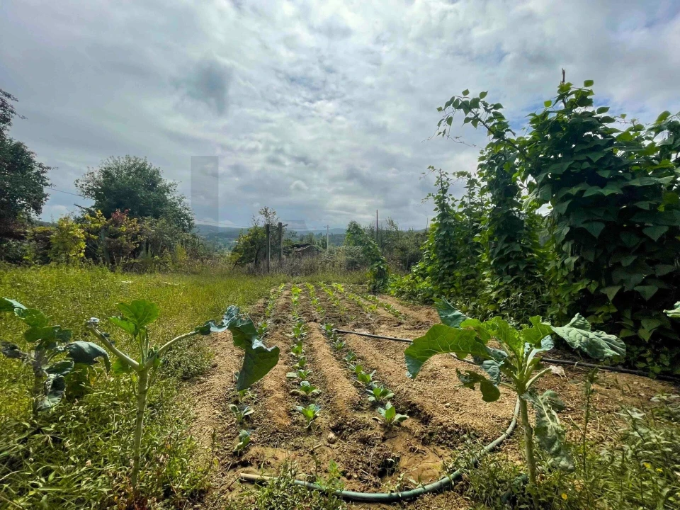 Quinta T3 para Venda em Santa Maria de Sardoura Foto 24