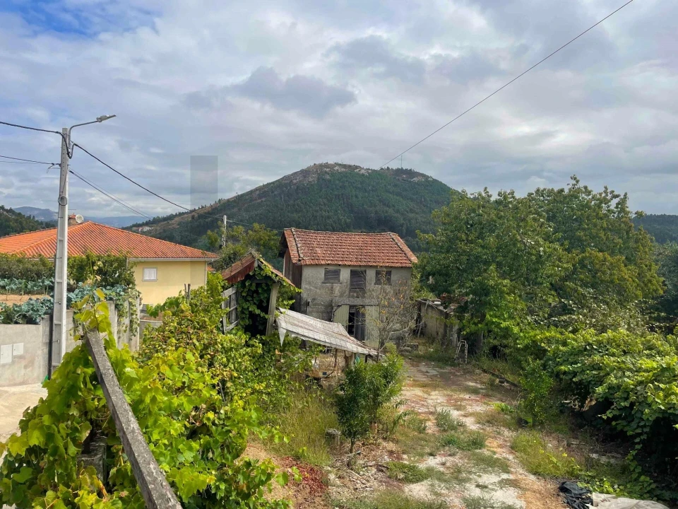 Quinta T3 para Venda em Santa Maria de Sardoura Foto 8