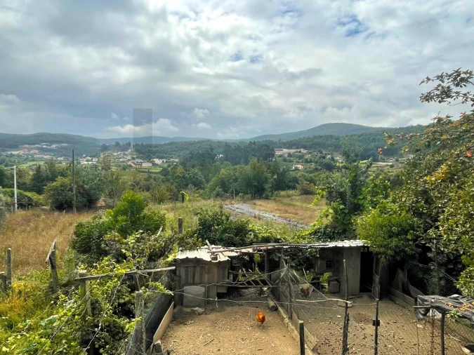 Quinta T3 para Venda em Santa Maria de Sardoura Foto 29