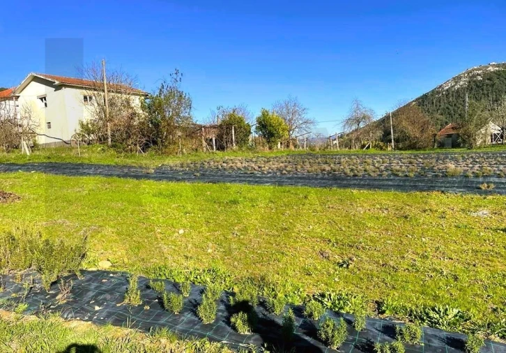 Quinta T3 para Venda em Santa Maria de Sardoura Foto 1
