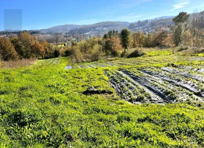 Quinta T3 para Venda em Santa Maria de Sardoura Foto 21