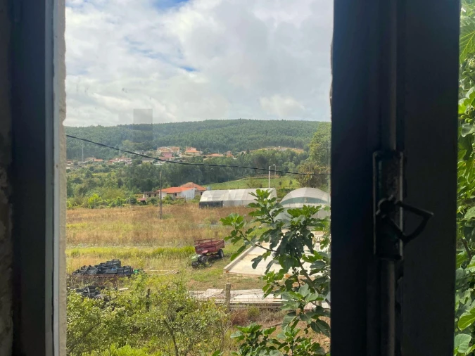 Quinta T3 para Venda em Santa Maria de Sardoura Foto 10