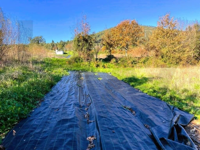 Quinta T3 para Venda em Santa Maria de Sardoura Foto 22