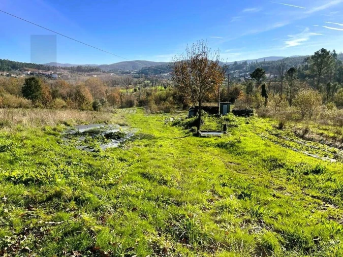 Quinta T3 para Venda em Santa Maria de Sardoura Foto 20