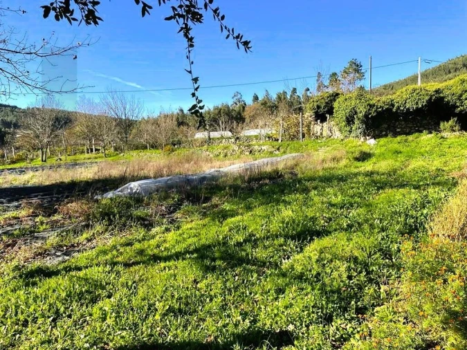 Quinta T3 para Venda em Santa Maria de Sardoura Foto 17