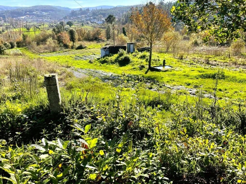 Quinta T3 para Venda em Santa Maria de Sardoura Foto 19