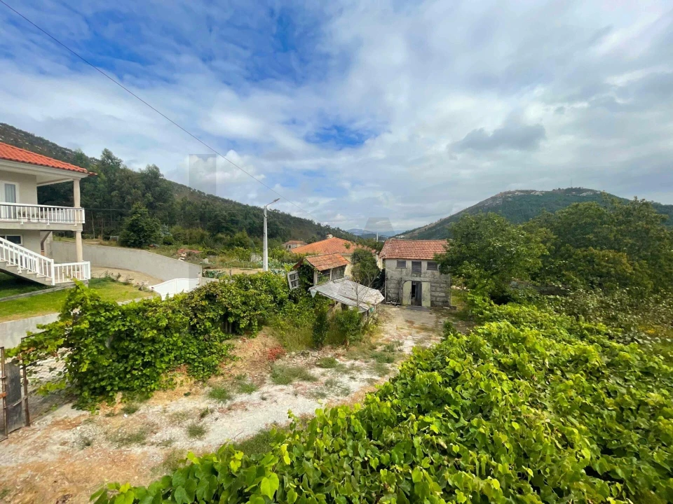Quinta T3 para Venda em Santa Maria de Sardoura Foto 23