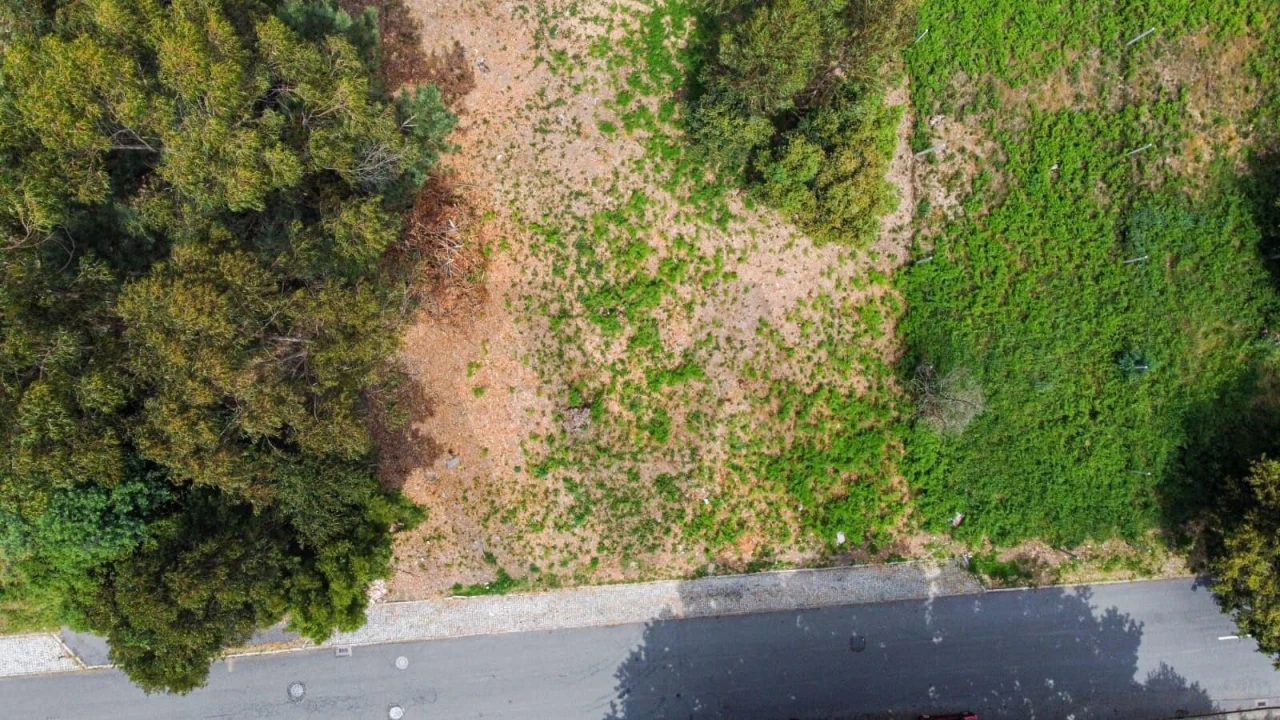 Terreno para Venda em Oliveira do Douro Foto 3