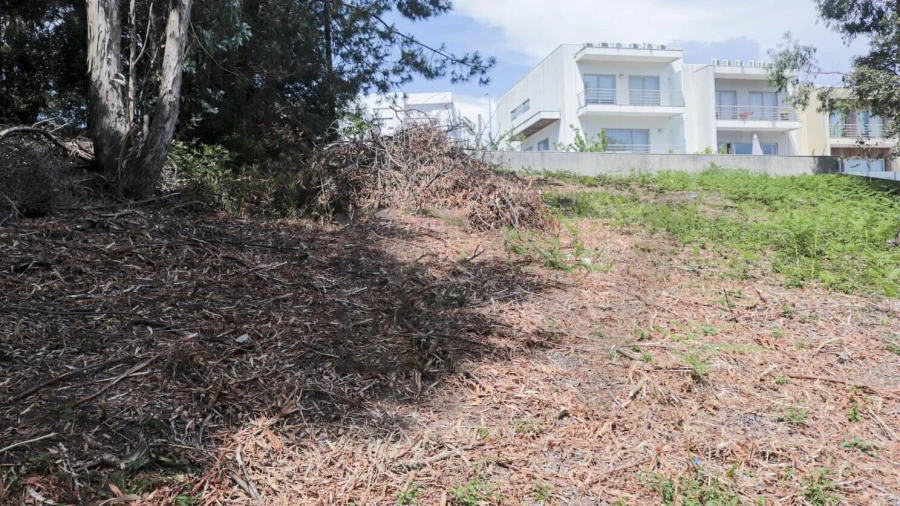 Terreno para Venda em Oliveira do Douro Foto 2