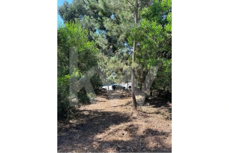 Terreno para Venda em Oliveira do Douro Foto 1