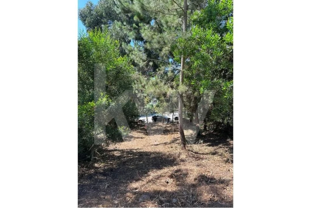 Terreno para Venda em Oliveira do Douro Foto 7