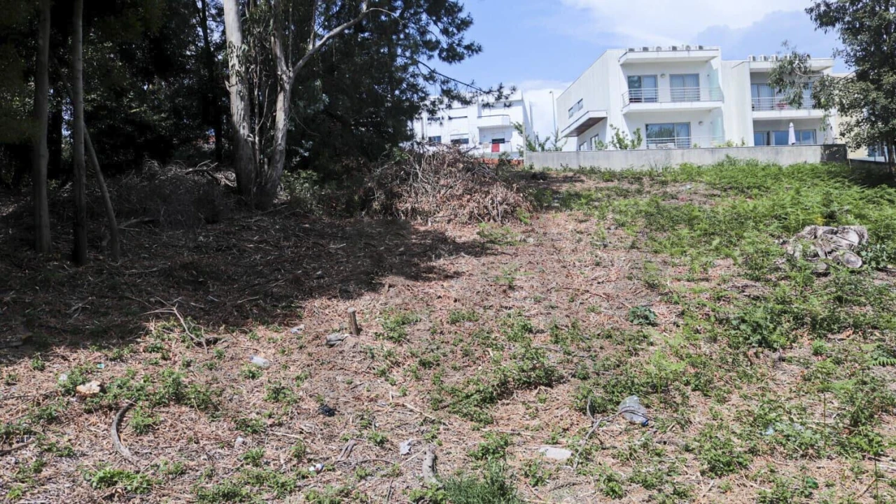 Terreno para Venda em Oliveira do Douro Foto 1