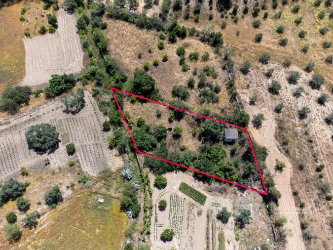 Moradia T2 para Venda em Alcoutim e Pereiro Foto 22