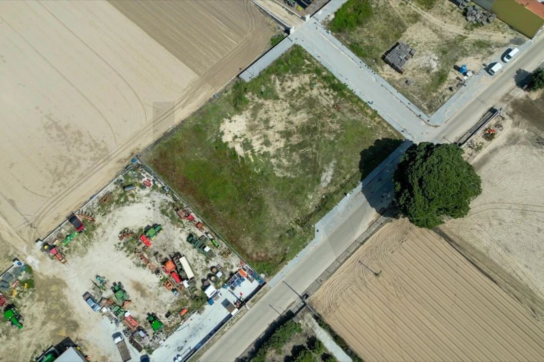 Terreno para Venda em Alpiarça Foto 4