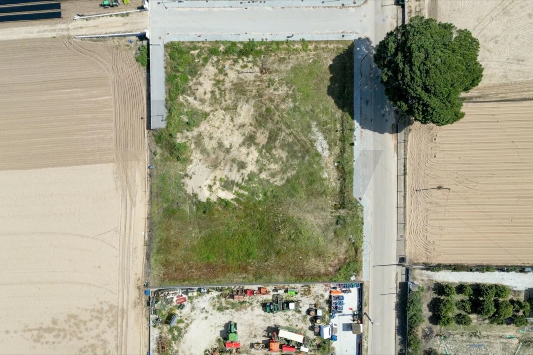 Terreno para Venda em Alpiarça Foto 2