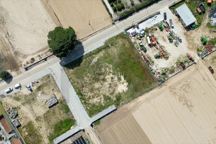 Terreno para Venda em Alpiarça Foto 13